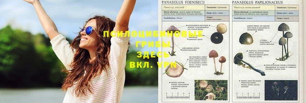спиды Кинешма
