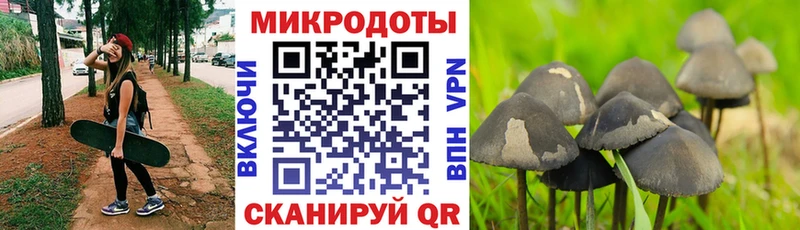 Галлюциногенные грибы ЛСД Купить Гдов